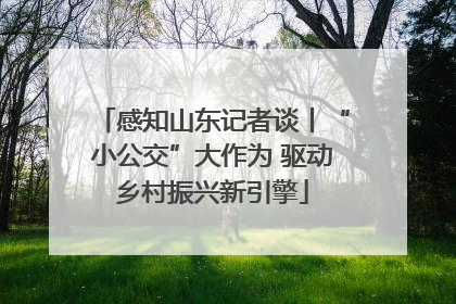 感知山东记者谈丨“小公交”大作为 驱动乡村振兴新引擎