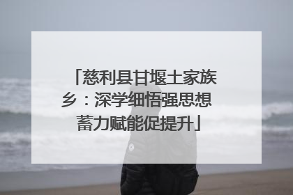 慈利县甘堰土家族乡：深学细悟强思想 蓄力赋能促提升