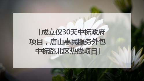 成立仅30天中标政府项目，唐山惠民服务外包中标路北区热线项目