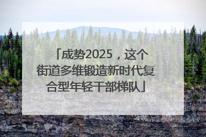 成势2025，这个街道多维锻造新时代复合型年轻干部梯队