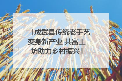 成武县传统老手艺变身新产业 共富工坊助力乡村振兴