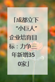 成都立下“小巨人”企业培育目标：力争三年新增350家