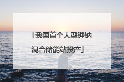 我国首个大型锂钠混合储能站投产