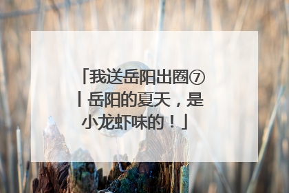 我送岳阳出圈⑦丨岳阳的夏天，是小龙虾味的！