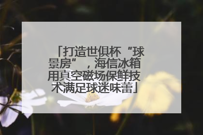 打造世俱杯“球景房”，海信冰箱用真空磁场保鲜技术满足球迷味蕾