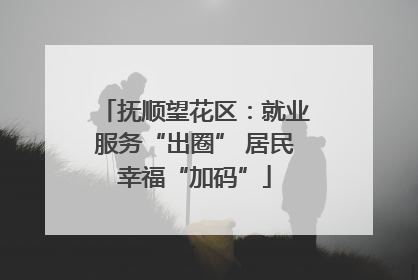 抚顺望花区：就业服务“出圈” 居民幸福“加码”