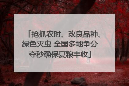 抢抓农时、改良品种、绿色灭虫 全国多地争分夺秒确保夏粮丰收