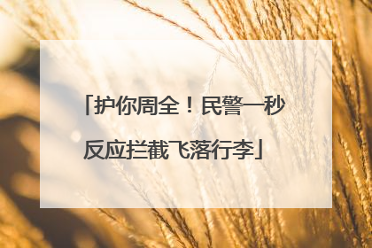 护你周全！民警一秒反应拦截飞落行李