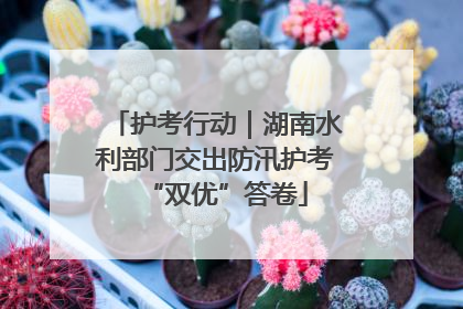 护考行动｜湖南水利部门交出防汛护考“双优”答卷