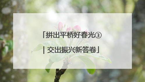 拼出平桥好春光③｜交出振兴新答卷