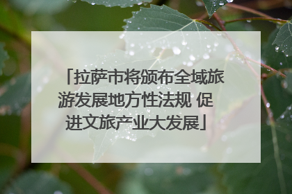 拉萨市将颁布全域旅游发展地方性法规 促进文旅产业大发展