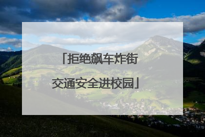 拒绝飙车炸街 交通安全进校园