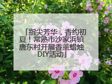 指尖芳华，香约初夏！常熟市沙家浜镇唐东村开展香薰蜡烛DIY活动