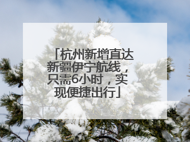 杭州新增直达新疆伊宁航线，只需6小时，实现便捷出行
