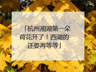 杭州湘湖第一朵荷花开了！西湖的还要再等等