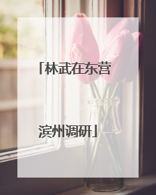 林武在东营滨州调研