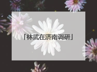 林武在济南调研