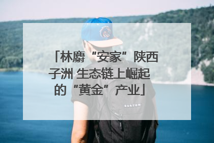 林麝“安家”陕西子洲 生态链上崛起的“黄金”产业