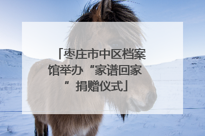 枣庄市中区档案馆举办“家谱回家”捐赠仪式