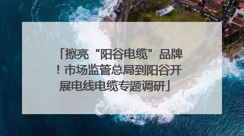 擦亮“阳谷电缆”品牌！市场监管总局到阳谷开展电线电缆专题调研