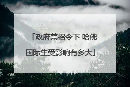 政府禁招令下 哈佛国际生受影响有多大