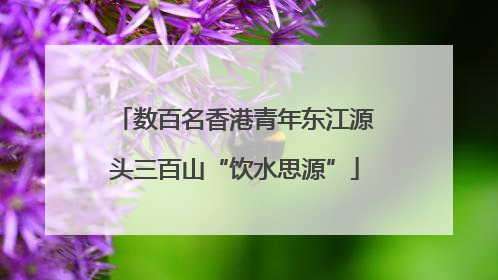 数百名香港青年东江源头三百山“饮水思源”