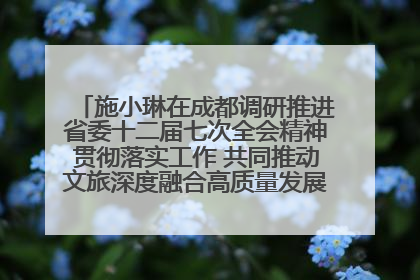 施小琳在成都调研推进省委十二届七次全会精神贯彻落实工作 共同推动文旅深度融合高质量发展 加快打造支柱产业民生产业幸福产业