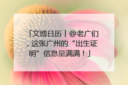 文博日历丨@老广们，这张广州的“出生证明”信息量满满！