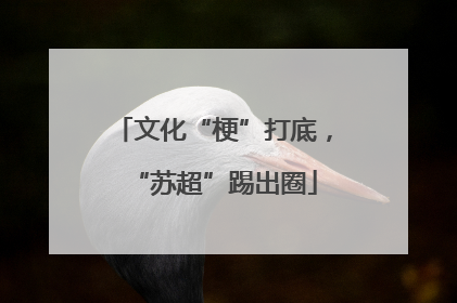 文化“梗”打底，“苏超”踢出圈
