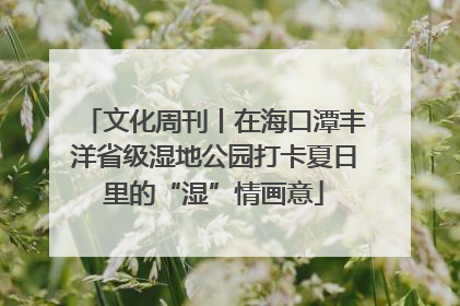 文化周刊丨在海口潭丰洋省级湿地公园打卡夏日里的“湿”情画意