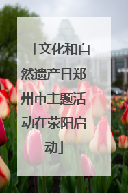 文化和自然遗产日郑州市主题活动在荥阳启动