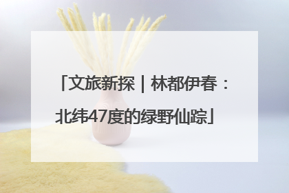 文旅新探｜林都伊春：北纬47度的绿野仙踪