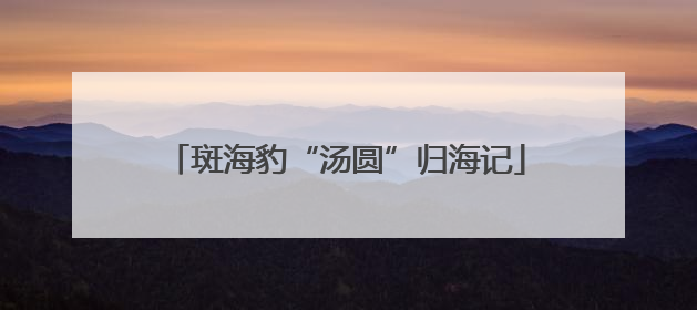 斑海豹“汤圆”归海记