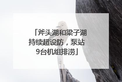 斧头湖和梁子湖持续超设防，泵站9台机组排涝