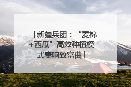 新疆兵团：“麦棉+西瓜”高效种植模式奏响致富曲