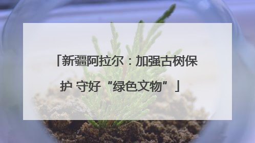 新疆阿拉尔：加强古树保护 守好“绿色文物”