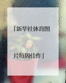 新华社体育图片每周佳作