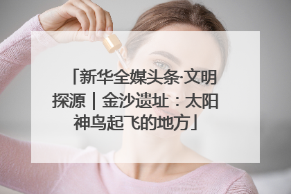 新华全媒头条·文明探源｜金沙遗址：太阳神鸟起飞的地方