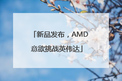 新品发布，AMD意欲挑战英伟达