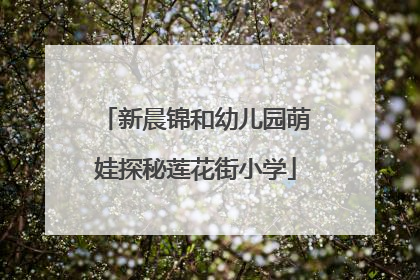 新晨锦和幼儿园萌娃探秘莲花街小学