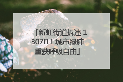 新虹街道拆违 1307㎡！城市绿肺重获呼吸自由
