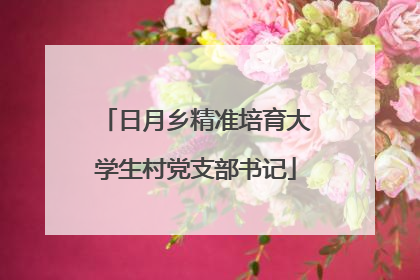 日月乡精准培育大学生村党支部书记