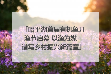 昭平湖首届有机鱼开渔节启幕 以渔为媒 谱写乡村振兴新篇章