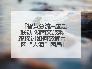 智慧分流+应急联动 湖南文旅系统探讨如何破解景区“人海”困局