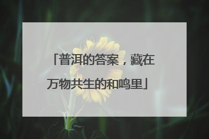 普洱的答案，藏在万物共生的和鸣里