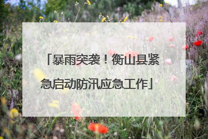 暴雨突袭！衡山县紧急启动防汛应急工作