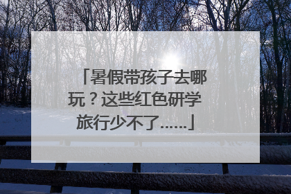 暑假带孩子去哪玩？这些红色研学旅行少不了……