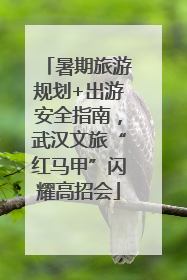 暑期旅游规划+出游安全指南，武汉文旅“红马甲”闪耀高招会