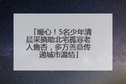 暖心！5名少年清晨采摘助北宅孤寡老人售杏，多方善意传递城市温情