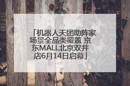 机器人天团助阵家场景全品类覆盖 京东MALL北京双井店6月14日启幕